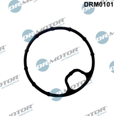 DR.MOTOR AUTOMOTIVE Прокладка, корпус маслянного фильтра DRM0101
